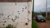 Lubang bekas tembakan terlihat di salah satu dinding rumah di pinggiran Valparaiso, Meksiko, pada 14 Juli 2024. (Foto: AP/Marco Ugarte)