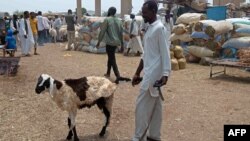 L'Aïd al-Adha est la plus grande fête du calendrier musulman, au cours de laquelle les fidèles doivent sacrifier un animal à la mémoire d'Abraham.