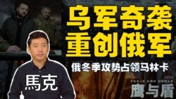 【鹰与盾】乌军奇袭重创俄军/俄冬季攻势占领马林卡 