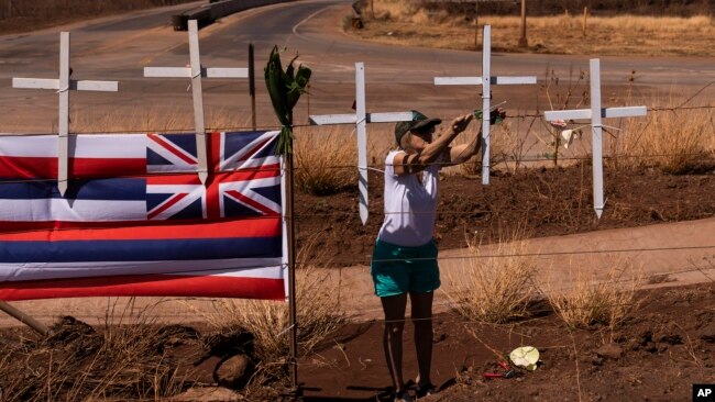 Sunya Schlea ties roses to crosses along the Lahaina Bypass in Lahaina, Hawaii, Aug. 22, 2023, to honor the victims killed in a wildfire.