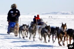 FILE - Lance Mackey drives his team as he arrives first into the Unalakleet, Alaska, checkpoint on the Iditarod Trail Sled Dog Race, March 15, 2009.