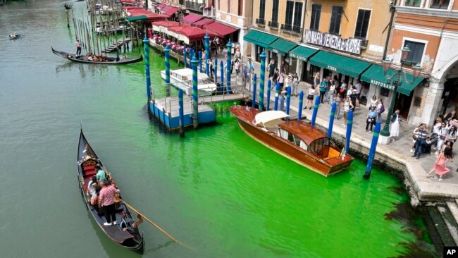 A gondola navigates along Venice's historical Grand Canal, Italy, as a patch of phosphorescent green liquid spreads in it, May 28, 2023.