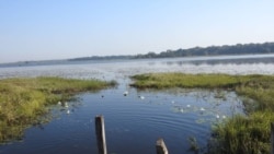 Guiné-Bissau: Maior parque da água doce sob ameaça devido à ação humana