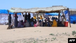 Dans les camps d'Adré, au milieu du désert de l'est tchadien, quelque 200.000 Soudanais, quasiment tous des femmes, des enfants ou des hommes âgés, tentent de survivre.