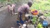 Rwandan, Burundian Refugees in DRC Decry Poor Living Conditions