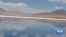 Climate Change, Tourists Impact Bolivia’s Flamingo Habitats 
