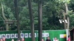 Beruang di Bonbin China Dicurigai ‘Pria Berkostum’
