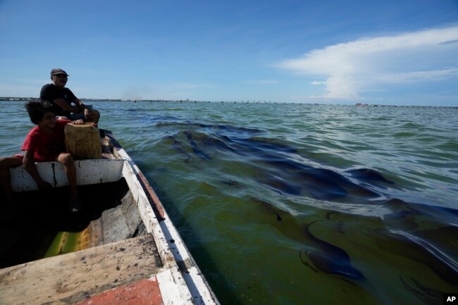 Fisherman Oscar Luzardo navigates his boat past an oil stain on Lake Maracaibo near the municipality of San Francisco, Venezuela, Thursday, Aug. 10, 2023. (AP Photo/Ariana Cubillos)