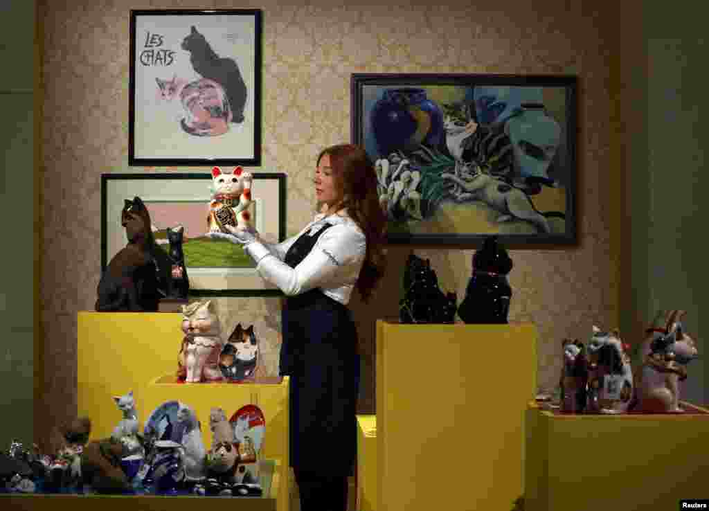 A Sotheby&#39;s handler examines various cat memorabilia on display, during Sotheby&#39;s &#39;Freddie Mercury: A World of His Own&#39; press preview in London.
