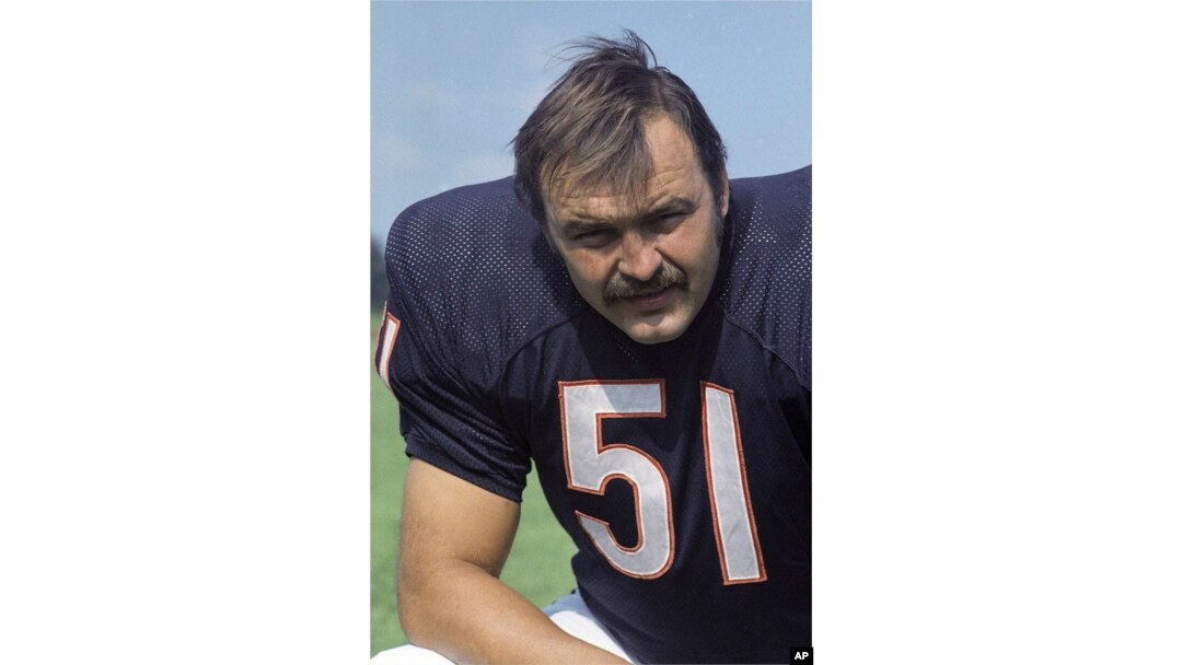 FILE - Chicago Bears linebacker Dick Butkus is pictured in 1973. Butkus, a Hall of Fame middle linebacker for the Bears, died Oct. 5, 2023, at his Malibu, Calif., home. He was 80.