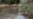 ¿Es posible sanear el Guaire, el río contaminado que atraviesa Caracas?