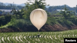 FILE - A balloon believed to have been sent by North Korea, carrying various objects including what appeared to be trash and excrement, is seen after landing in a rice field in Cheorwon, South Korea, May 29, 2024. (Yonhap via Reuters) 