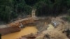 Mercury exposure widespread among Yanomami tribe in Amazon, report finds 