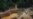 Mercury exposure widespread among Yanomami tribe in Amazon, report finds