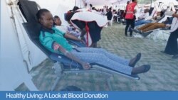 Healthy Living: A Look at Blood Donation