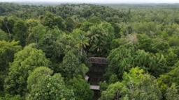 Kandang orangutan terlihat di Pusat Suaka Orangutan Arsari yang terletak di dekat ibu kota baru Indonesia (IKN) di Sepaku, Kalimantan Timur, 7 Maret 2023. (REUTERS/Willy Kurniawan)