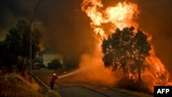 FILE - A firefighter tackles a wildfire close to the village of Pucarica in Abrantes, Portugal, Aug. 10, 2017.