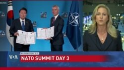 NATO allies pledge irreversible support for Ukraine