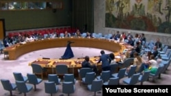 Заседание Совета Безопасности ООН (архивное фото)