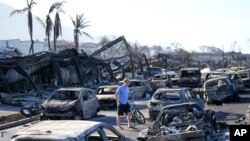 FILE - A man walks through wildfire wreckage in Lahaina, Hawaii, Aug. 11, 2023. Authorities in Hawaii have adjusted the number of deaths from the deadly Maui wildfire down to at least 97 people.