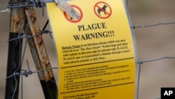 FILE - In this Aug. 10, 2019 photo, a sign warning of bubonic plague is displayed at a parking lot near the Rocky Mountain Arsenal Wildlife Refuge in Commerce City, Colo. 