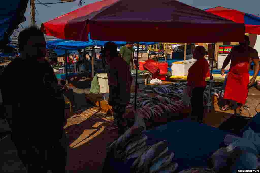 At the fish market in the Port of Manaus, consumers complain that prices have risen, and fishermen claim that with low water levels, transportation costs have increased, in Manaus, Oct. 4, 2023. 