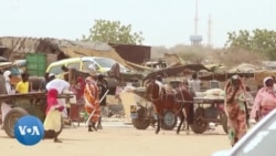 Soudan : Pénurie de nourriture dans le camp El-Fasher