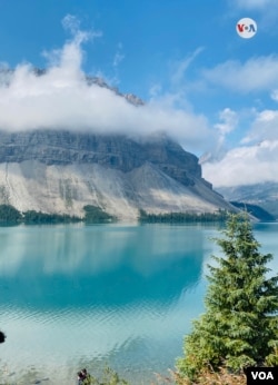 El lago Bow está ubicado al oeste de la provincia canadiense de Albert. [Foto: Karen Sánchez, VOA]