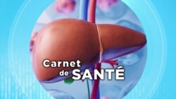 Carnet de Santé : l'alcool et la santé 