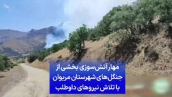مهار آتش‌سوزی بخشی از جنگل‌های شهرستان مریوان با تلاش نیروهای داوطلب