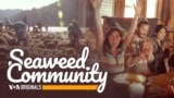Seaweed Community (S3, E35)
