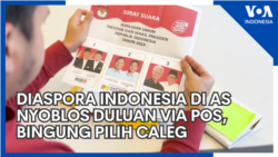 Diaspora Indonesia di AS Nyoblos Duluan via Pos, Bingung Pilih Caleg