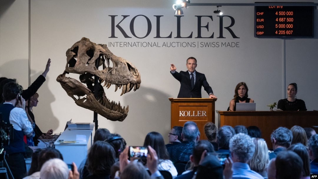 Koller auction house director Cyril Koller stands next to the skull of "Trinity" during the sale of the the Tyrannosaurus rex skeleton by Koller auction house in Zurich, on April 18, 2023.