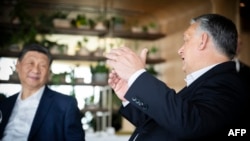 Chinese President Xi Jinping and Hungarian Prime Minister Viktor Orban converse in a restaurant in Budapest, Hungary, May 10, 2024. Xi vowed to deepen already flourishing economic ties with Hungary during his visit. (Hungarian Prime Minister's Office)