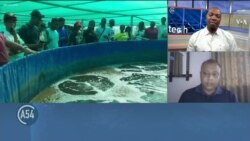 Kenyan boosts aquaculture technology in Africa