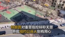 特朗普对重罪指控辩称无罪 并批纽约公诉人别有用心