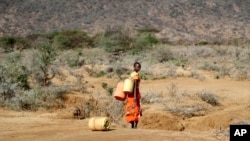 FILE - A Samburu woman fetches water during a drought in Loolkuniyani Primary School, Samburu County, Kenya, Oct. 16, 2022.