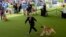 David Giordano runs with Afghan hound Frankie during breed group judging at the 148th Westminster Kennel Club Dog Show, May 13, 2024, at the USTA Billie Jean King National Tennis Center in New York.
