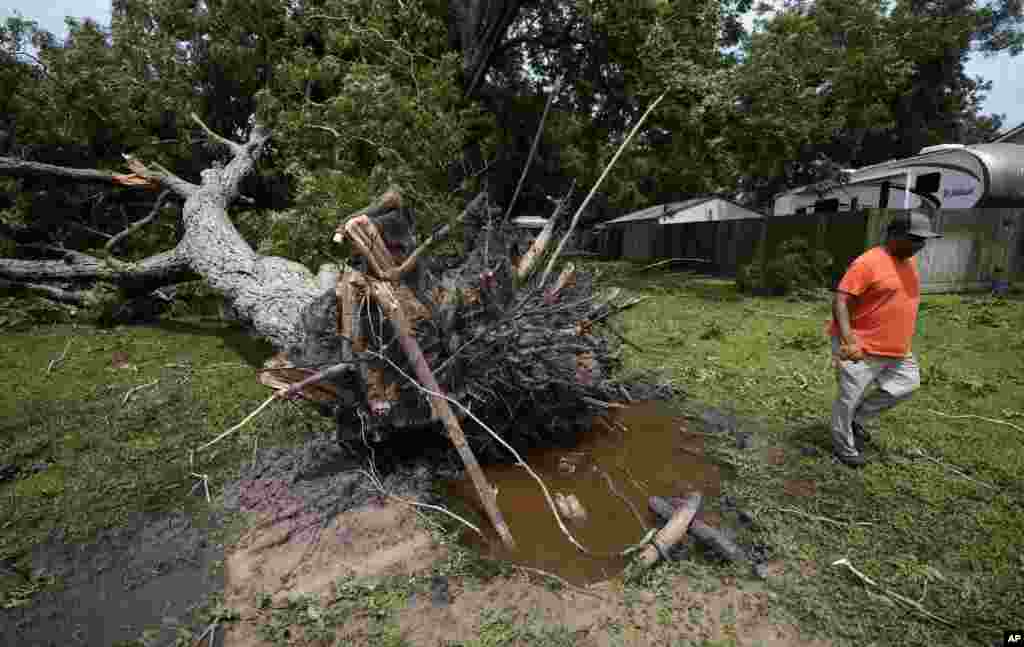 Desi Littleton evalúa los daños causados ​​por la caída de un árbol sobre su casa. &nbsp; El Centro Nacional de Huracanes dijo que los fuertes vientos y las inundaciones repentinas continuarán a medida de que Beryl siga avanzando tierra adentro. &nbsp; &nbsp;