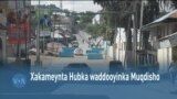 Qubanaha VOA, April 10, 2023