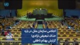 اجلاس سازمان ملل در باره حذف تبعیض نژادی؛ گزارش بهنام ناطقی