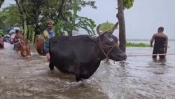 Feni Bangladesh Floods