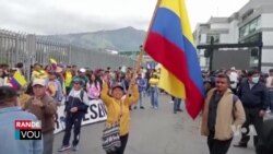 Ekwatè: Chire Pit Ant Prezidan ak Palman an Pwovoke Reyaksyon