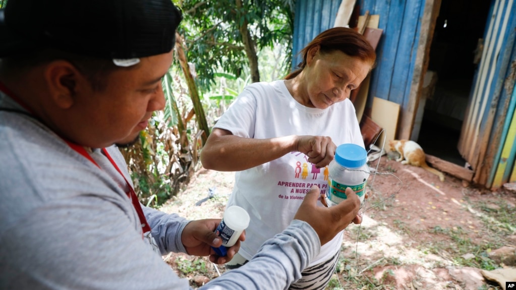 Lourdes Betancourt prepares a jar containing mosquito eggs to hang from a tree in her yard, in Tegucigalpa, Honduras, Aug. 23, 2023. The mosquitoes that hatch will carry bacteria called Wolbachia that interrupt the transmission of dengue. (AP Photo/Elmer Martinez)