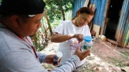 Lourdes Betancourt prepares a jar containing mosquito eggs to hang from a tree in her yard, in Tegucigalpa, Honduras, Aug. 23, 2023. The mosquitoes that hatch will carry bacteria called Wolbachia that interrupt the transmission of dengue. (AP Photo/Elmer Martinez)