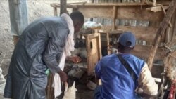 An ka Malidenw ka waleyaw lamɛn sisan, min bɛ u haminanko la nin waati in na