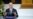 Biden Reelection Bid Prompts Concerns Among Many Democrats