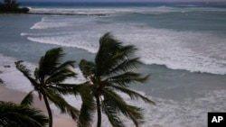 IN PHOTOS I The Caribbean protects itself from the passage of the powerful hurricane Beryl 