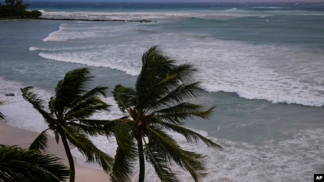 EN FOTOS I El Caribe se protege ante el paso del poderoso huracán Beryl 