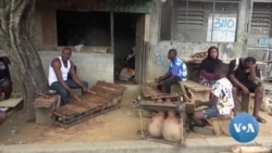 Ivory Coast Project Aims to Raise Awareness of a Traditional Instrument